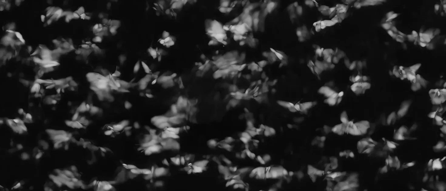 Moth & Marble